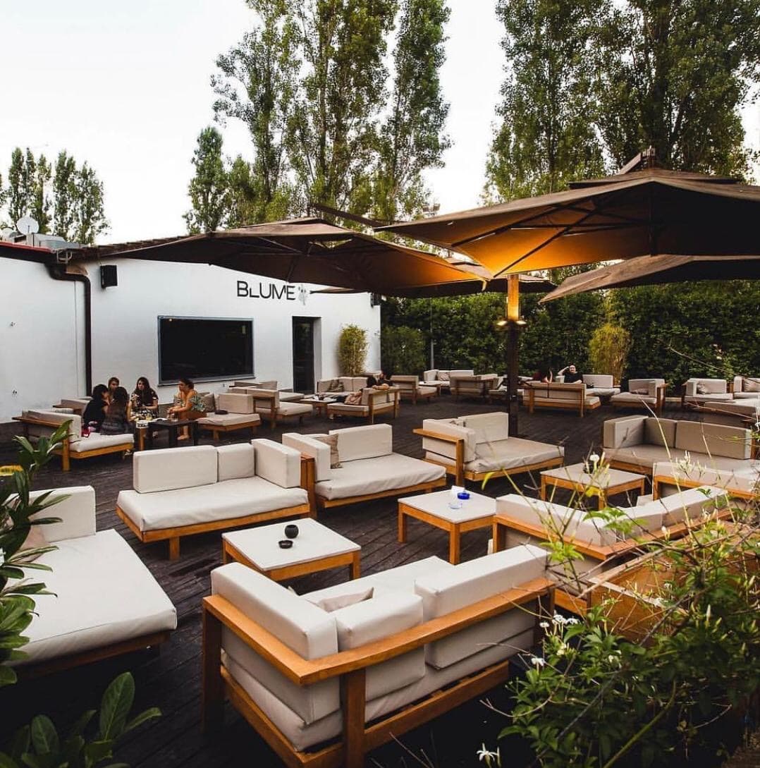Blume Lounge